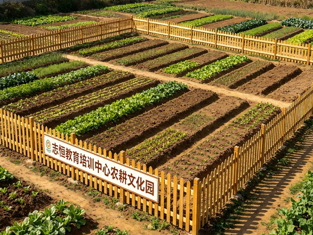 厦门正规叛逆期孩子全封闭教育学校怎么联系