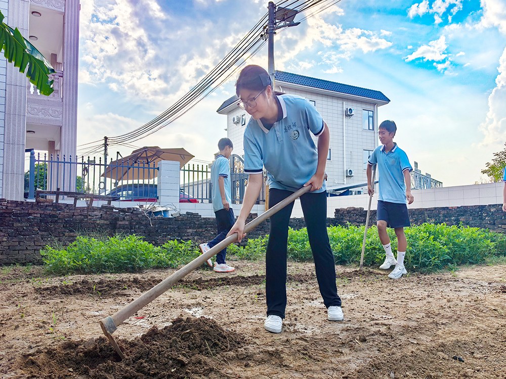 福建厦门叛逆期心理辅导机构2026家长择校指南